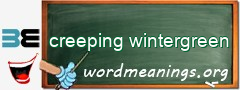 WordMeaning blackboard for creeping wintergreen